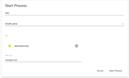 Start process load file